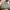 Avirex Vintage Streetwear Bomber Jacket Pria Multicolor