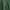 Minimalist Short Pria green photo 4
