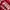Poshboy Vintage Streetwear Bomber Jacket Pria White Red