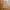 Streetwear Sportswear Sweatpants & Joggers Pria tan photo 1