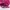 K-Swiss Streetwear Hat Wanita pink photo 4
