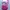 K-Swiss Streetwear Hat Wanita pink photo 3
