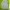 MLB Casual Windbreaker Pria gray photo 1