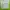 MLB Casual Windbreaker Pria gray photo 2