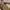 RVCA Streetwear Skater Casual pants Pria tan photo 4