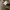 RVCA Streetwear Skater Casual pants Pria tan photo 7