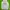 Dickies Casual Windbreaker Pria white photo 1