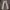 Streetwear Skater Casual pants Pria cream photo 1