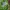 Nike Casual Polo shirt Pria green photo 3