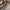 Bohopanna Sportswear Sandals & slide Kids tan photo 3