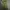 Casual Culotte Wanita green photo 1