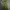 Casual Culotte Wanita Green