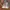 Adidas Casual Sneakers Pria white photo 5