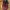 Nike Air Max Plus TN Barcelona photo 5