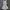 Axes Femme Cottagecore Fairy Evening dress Wanita tan cream photo 1