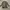 Vintage Suit Pria gray photo 4