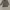 Vintage Suit Pria gray photo 3