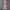 Luxury Cottagecore Prom Dress Wanita Pink