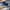 JanSport Casual Bag Pria blue yellow photo 1