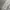 Luxury Casual Hoody Pria gray photo 8