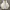 Nike Air Jordan Streetwear Sneakers Wanita white photo 2