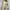 Vintage Blazer Wanita tan cream photo 1