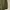 Burberry Jacket bertton military photo 5
