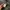 Burberry Jacket bertton military photo 10