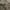 Burberry Jacket bertton military photo 7