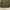 Burberry Jacket bertton military photo 4