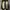 Bonafeet photo 3