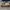Bonafeet photo 5