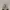Under Armour Hovr Phantom Rn White