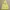 Japanese brand Y2K Emo Hoody Pria cream yellow photo 3