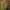 Muslim Wanita yellow photo 1