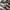Uniqlo Y2K Casual Casual shirt Pria multicolor photo 3