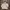 Champion Streetwear Skater Hoody Pria gray photo 1