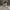 Champion Streetwear Skater Hoody Pria gray photo 2
