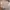 Vintage Casual Casual shirt Pria tan photo 1