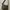 Olive Green Shoulder/slingbag