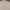 Beams Vintage Casual Casual Shirt Pria Multicolor