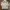 Champion Vintage Sportswear Track jacket Pria white photo 5