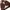 Clef De Sol Streetwear Biker Windbreaker Wanita brown photo 4