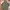 The North Face Y2K Gorpcore Suit Pria green photo 5