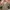 The North Face Y2K Gorpcore Suit Pria green photo 8