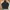 Puma Sportswear Casual Hoody Pria black photo 6
