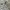 Japanese brand Vintage Y2K Casual shirt Pria white gray photo 5