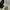 Japanese brand Vintage Y2K Casual shirt Pria white gray photo 3