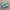 Adidas Indie Casual Sneakers Wanita white green photo 1