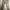 Carhartt Vintage Casual Casual pants Pria tan photo 2